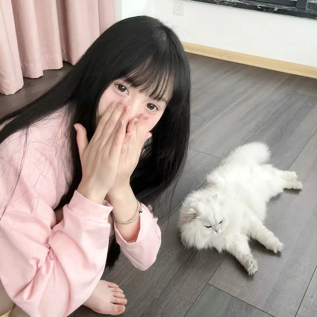 虹猫蓝兔火凤凰